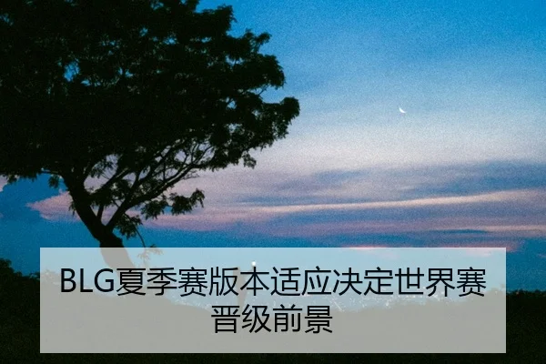 BLG夏季赛版本适应决定世界赛晋级前景