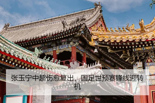 zhang-yu-ning-zhong-chao-shang-yu-fu-chu-guo-zu-shi-yu-sai-feng-xian-ying-zhuan-ji-2-481.jpg