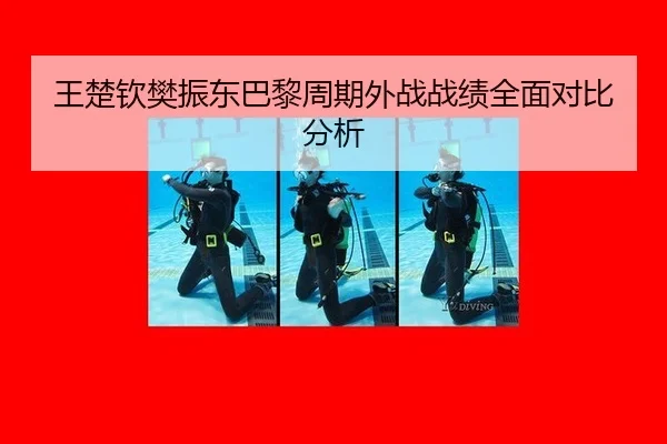 wang-chu-qin-fan-zhen-dong-ba-li-zhou-qi-wai-zhan-zhan-ji-quan-mian-dui-bi-fen-xi-2-168.jpg