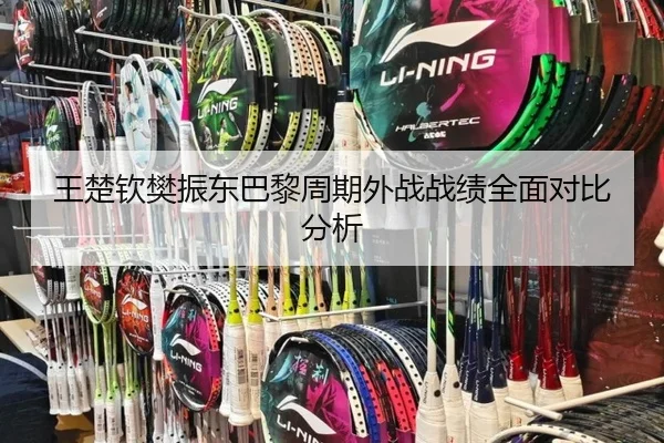 王楚钦樊振东巴黎周期外战战绩全面对比分析