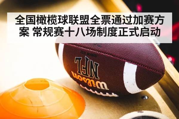 全国橄榄球联盟全票通过加赛方案 常规赛十八场制度正式启动